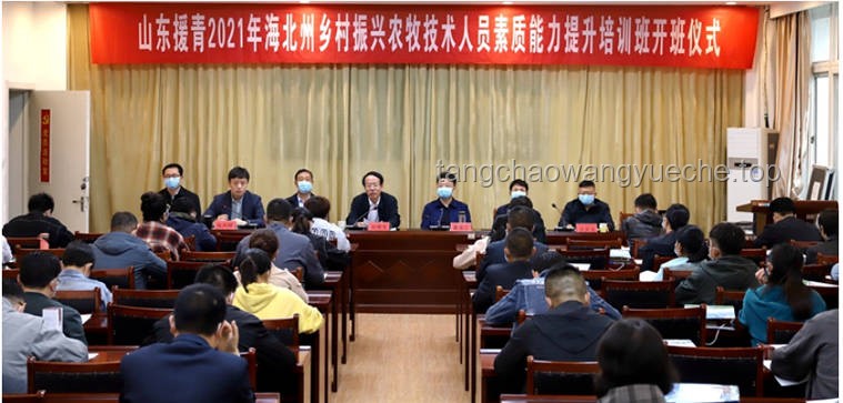 山东一村创新举措：免费为青年分配100㎡楼房案例研究